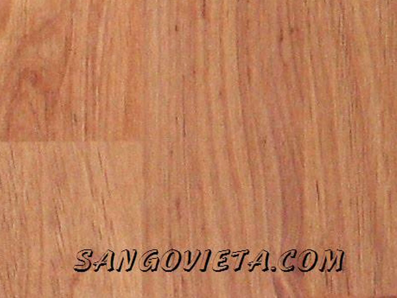 Sàn gỗ Thaixin - 12mm 3011