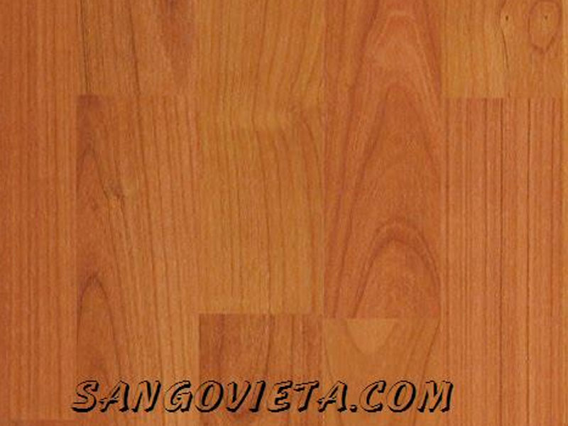 Sàn gỗ ThaiXin - 8mm 3042