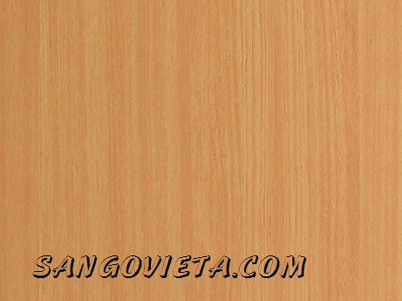 Sàn gỗ Thai Xin - 12mm 1022