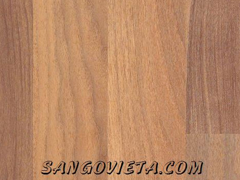 Sàn gỗ ThaiXin - 8mm 2080