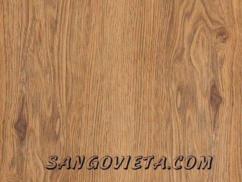 Sàn gỗ Thai Xin - 8mm 1031